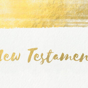 New Testament Survey